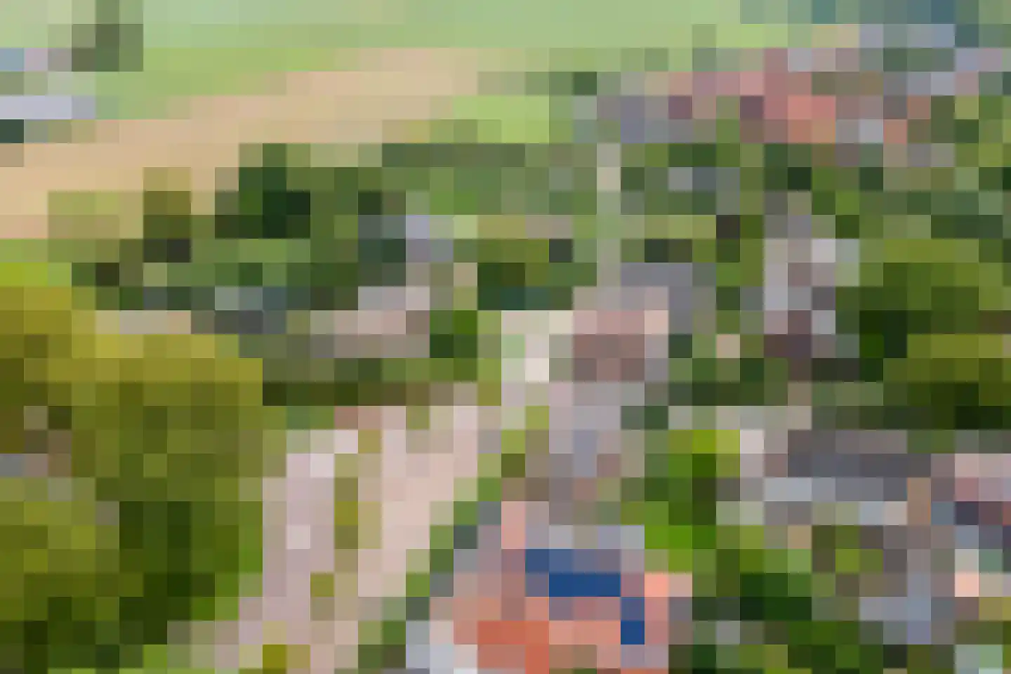 Ridderhof 10 Zoelmond thumbnail 47