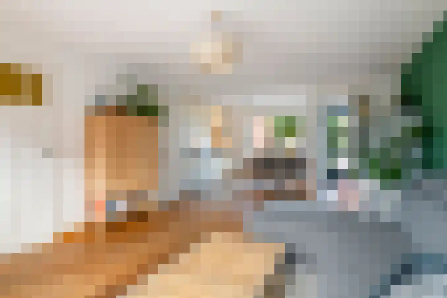 Ridderhof 10 Zoelmond thumbnail 6