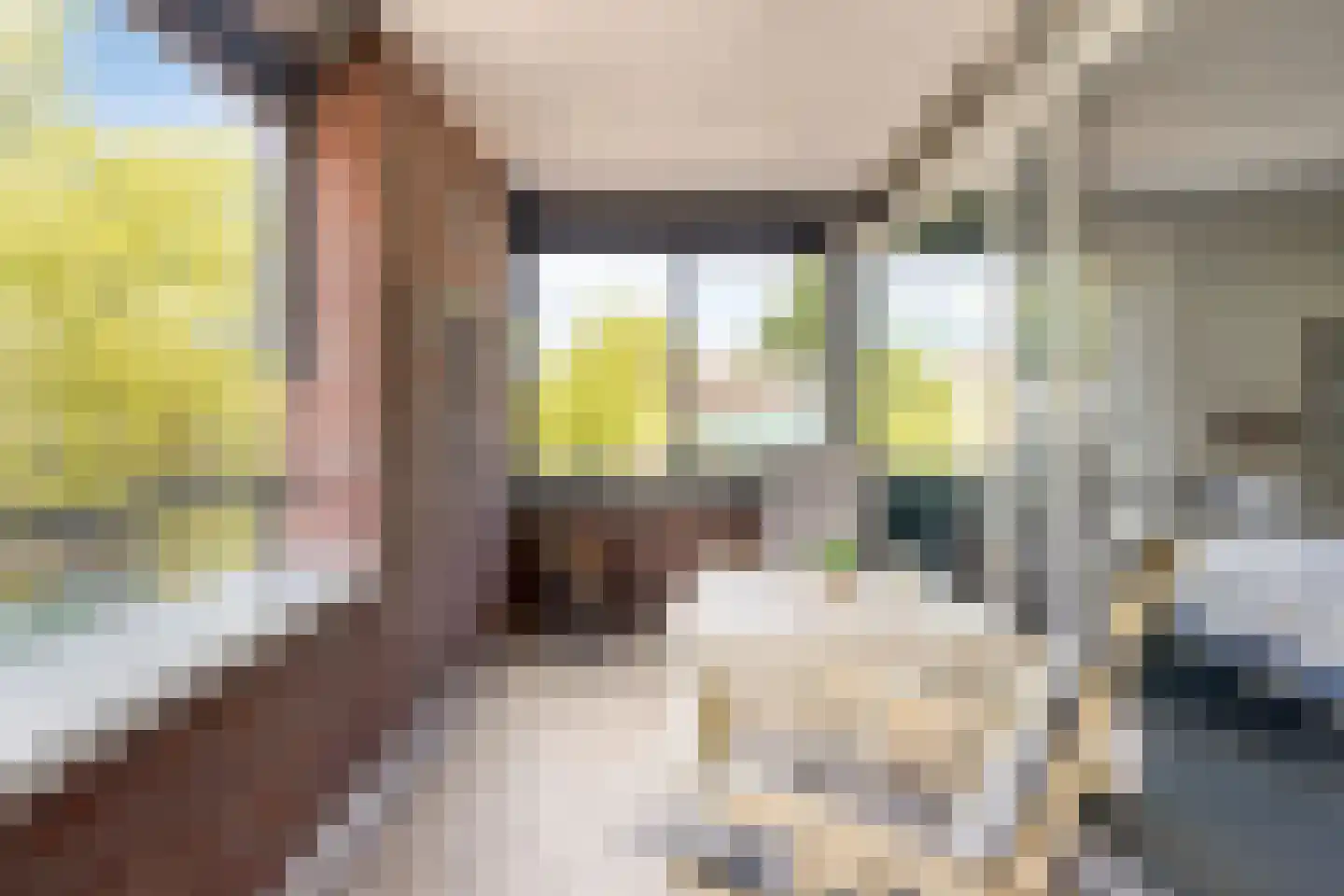 Ridderhof 118 Oss thumbnail 10