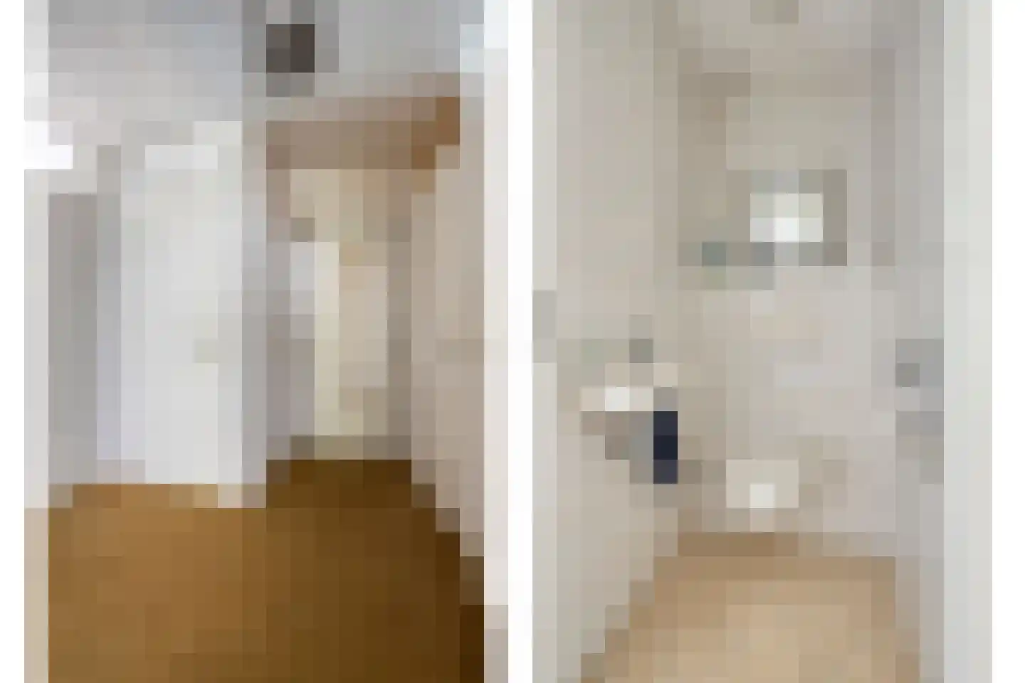 Ridderhof 118 Oss thumbnail 13