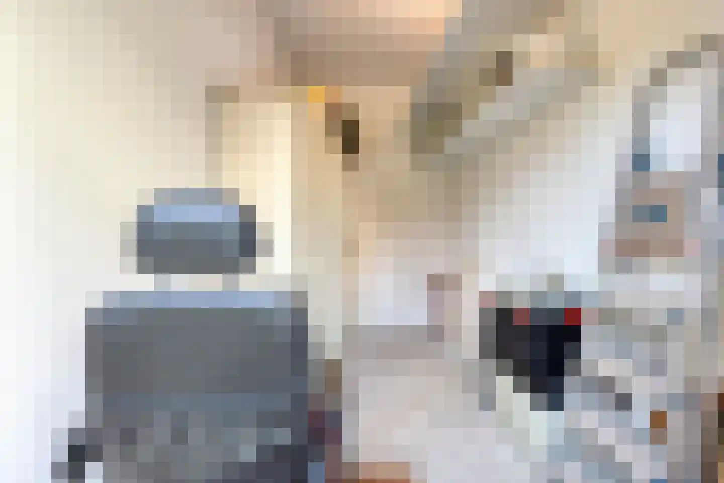 Ridderhof 118 Oss thumbnail 19