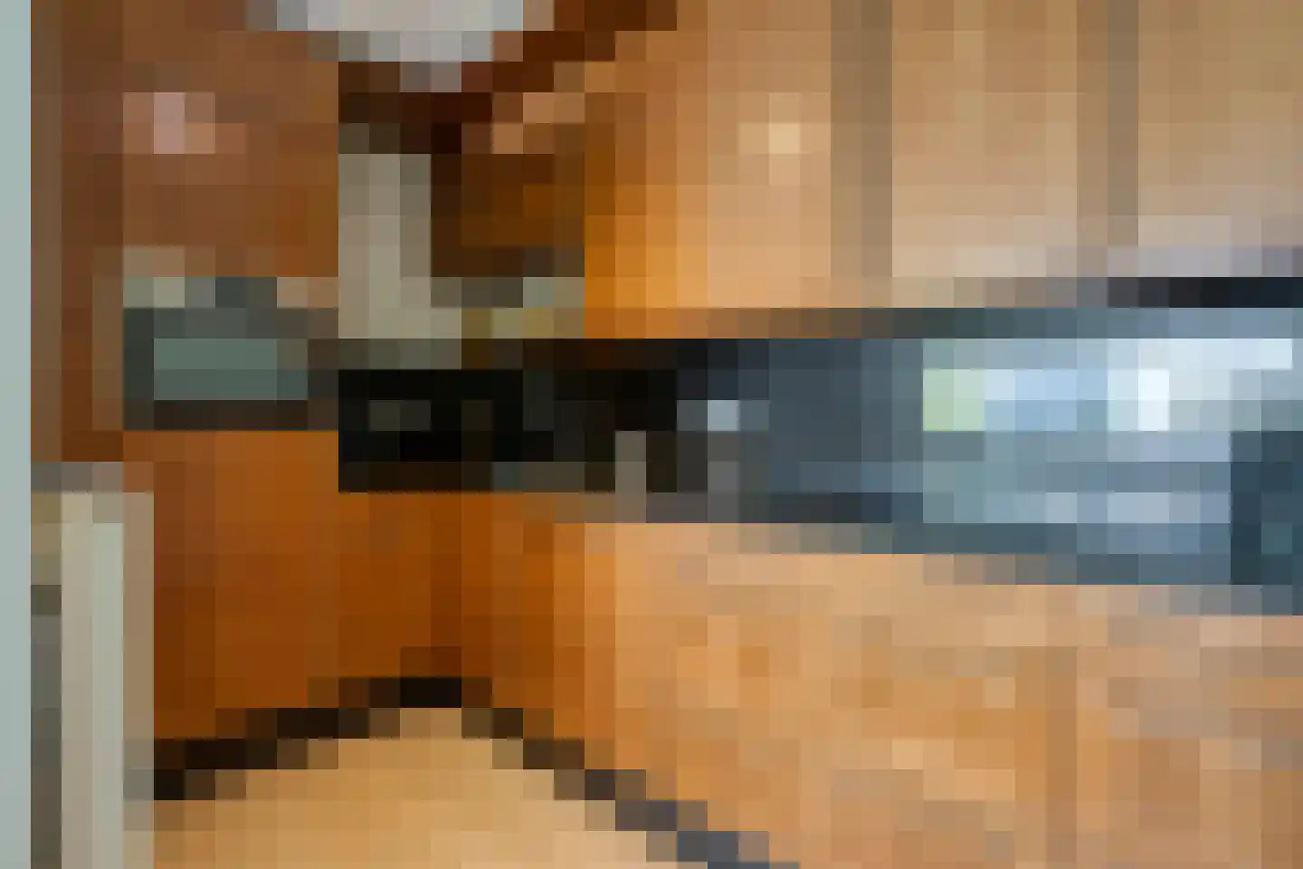 Ridderhof 118 Oss thumbnail 4