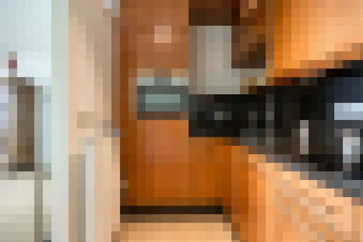 Ridderhof 118 Oss thumbnail 6