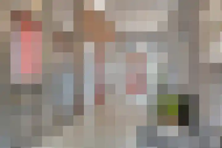 Ridderhof 126 Oss thumbnail 18
