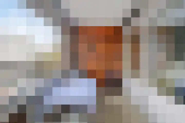 Ridderhof 126 Oss thumbnail 8