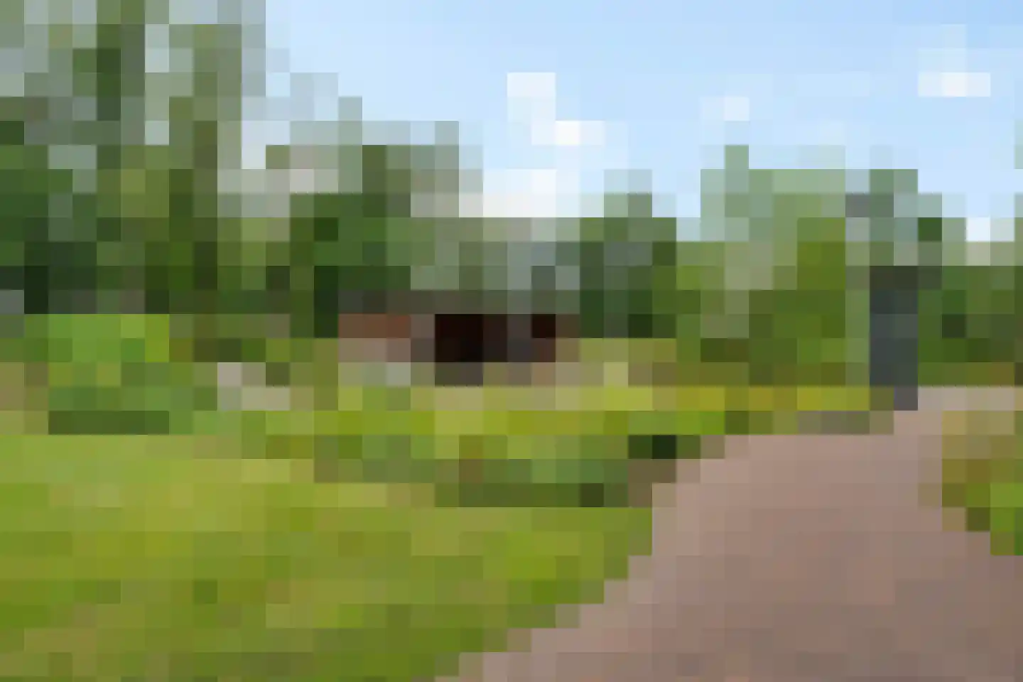 Ridderhof 15 Woudenberg thumbnail 25