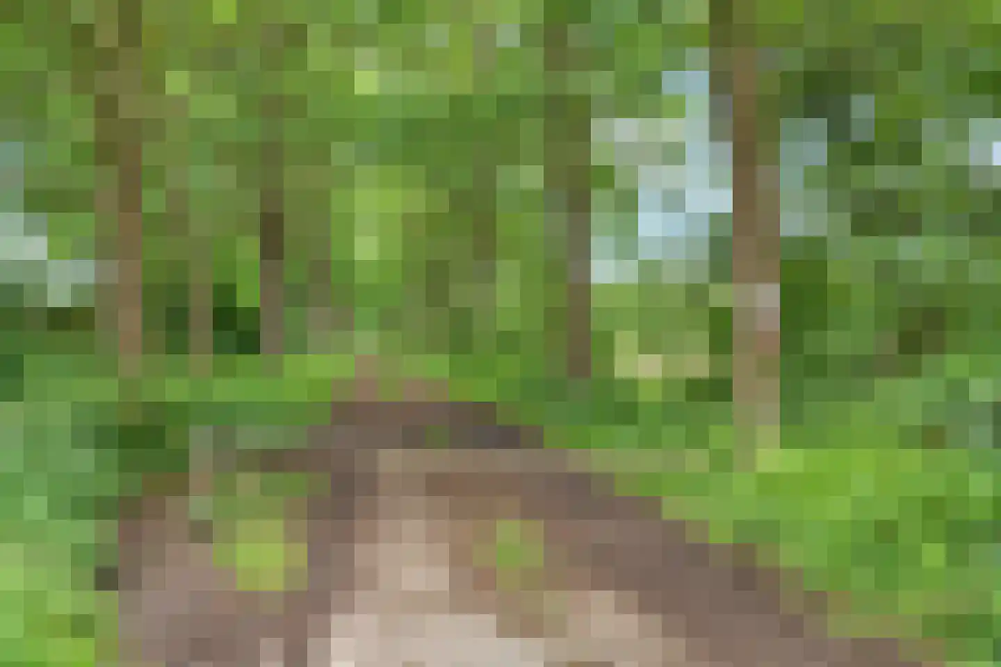 Ridderhof 15 Woudenberg thumbnail 30