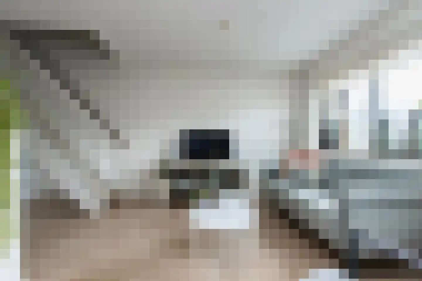 Ridderhof 19 Giessen thumbnail 15
