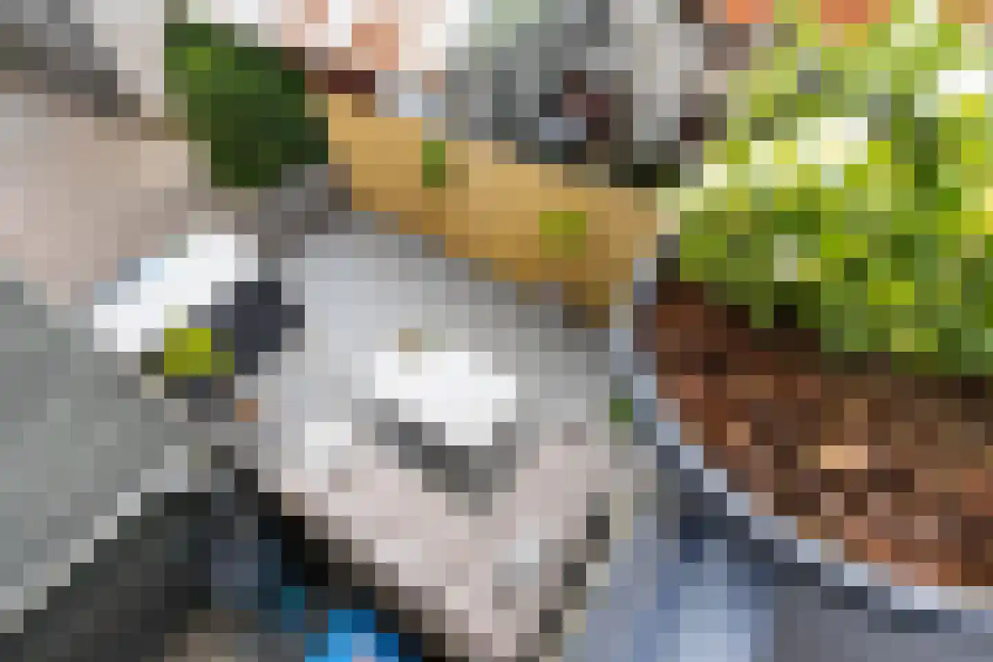 Ridderhof 19 Giessen thumbnail 23