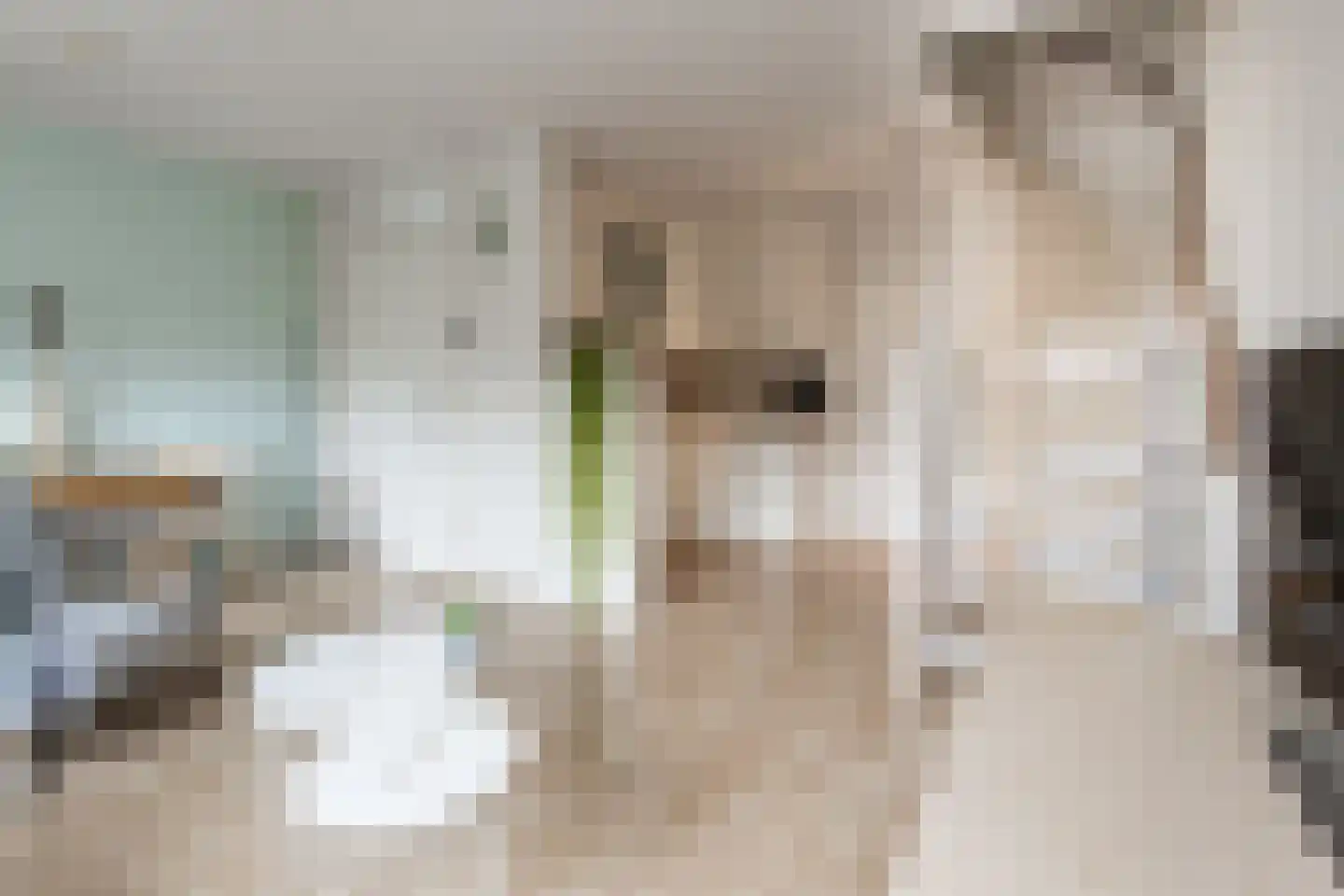 Ridderhof 19 Giessen thumbnail 4