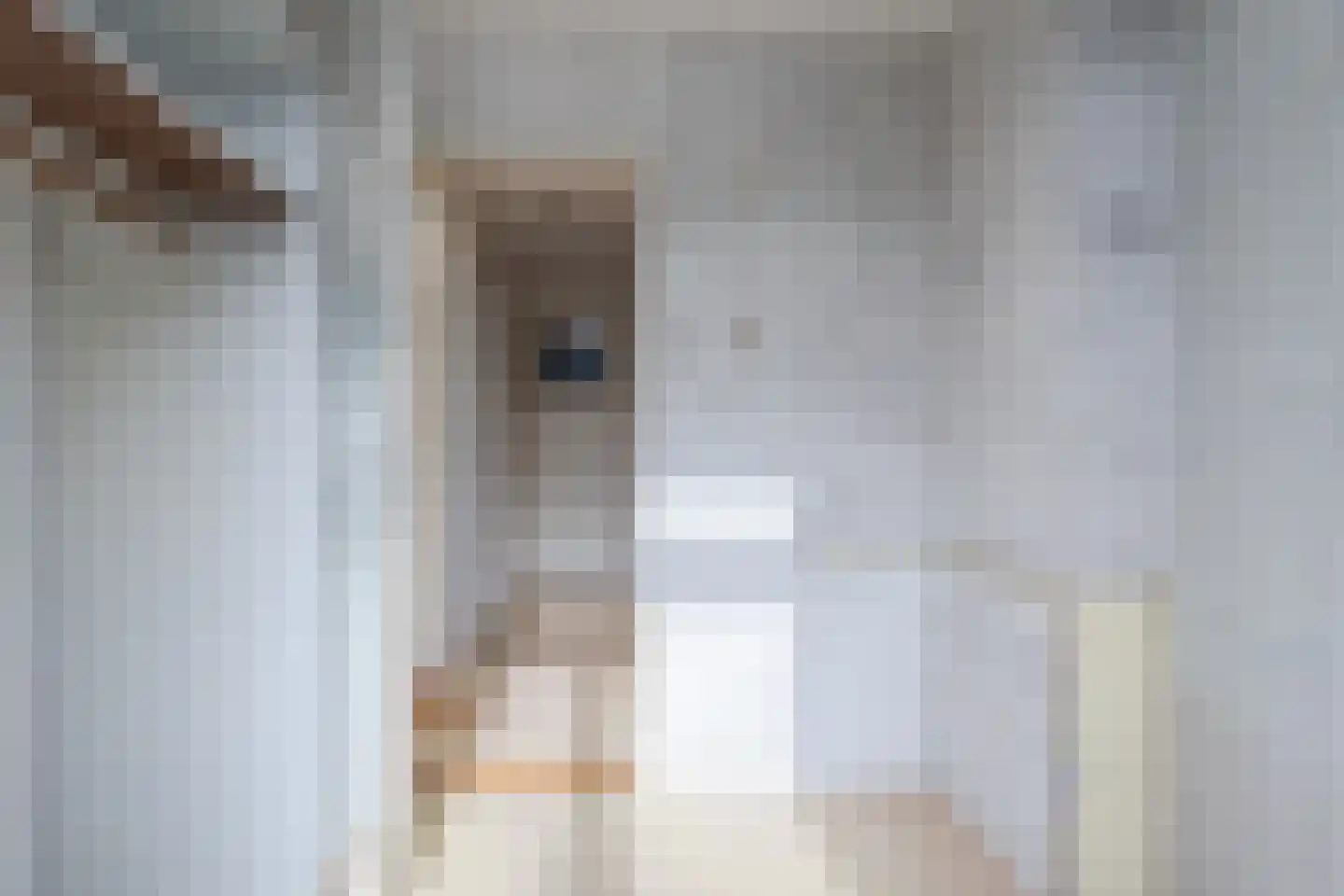 Ridderhof 2 Leiderdorp thumbnail 17