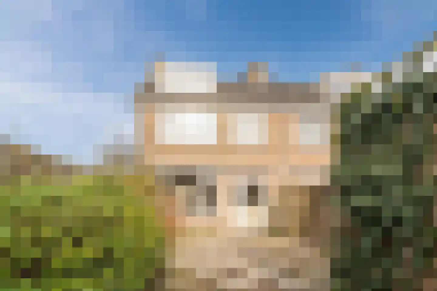 Ridderhof 2 Leiderdorp thumbnail 31