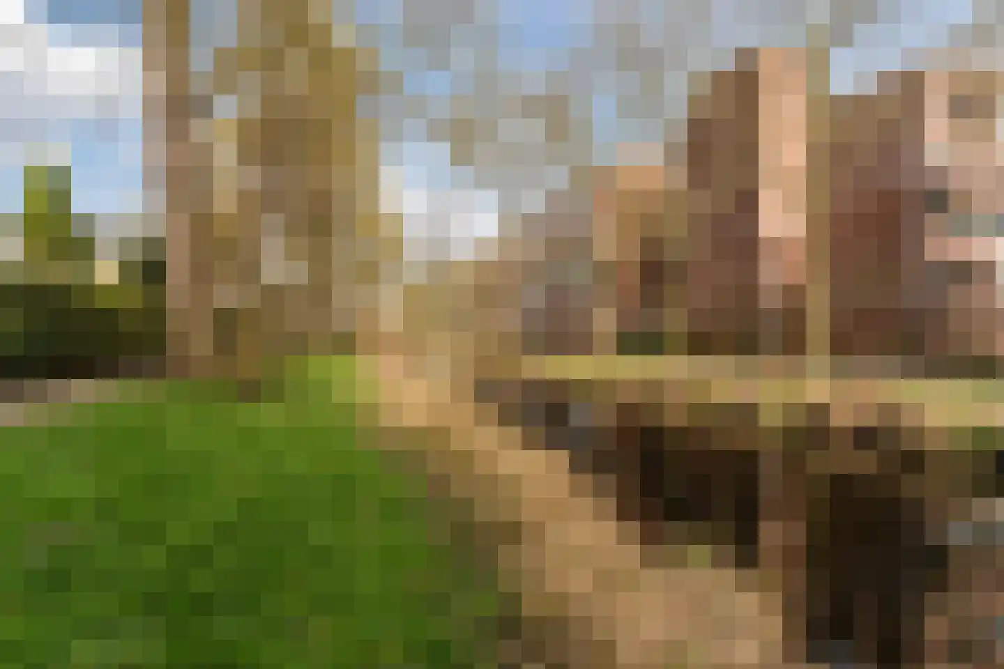 Ridderhof 2 Leiderdorp thumbnail 38