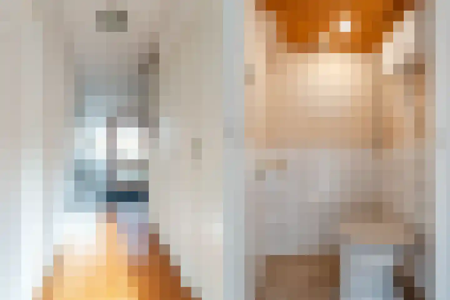 Ridderhof 2 Leiderdorp thumbnail 4