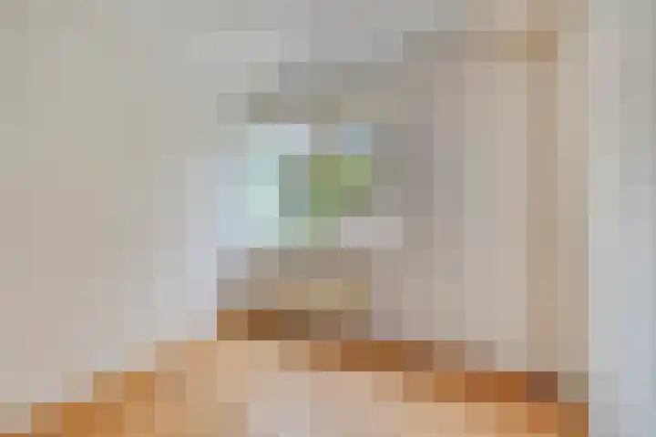 Ridderhof 22 Zoelmond thumbnail 28