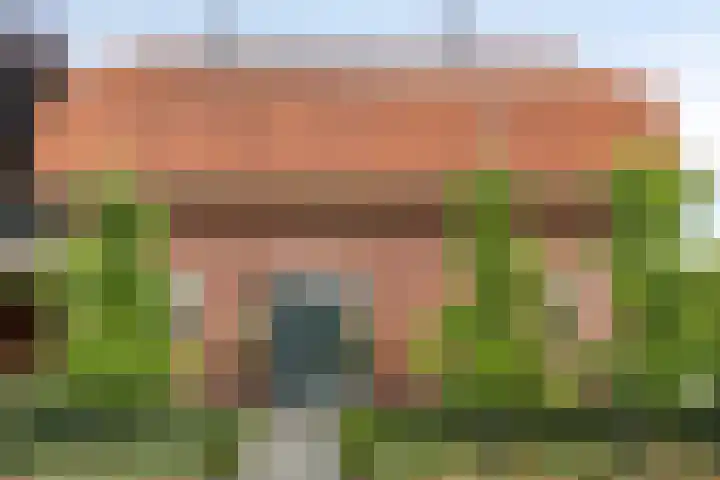Ridderhof 22 Zoelmond thumbnail 4