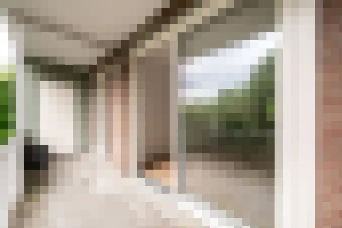 Ridderhof 28 Oss thumbnail 4