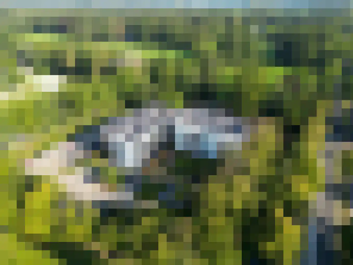 Ridderhof 29 Woudenberg thumbnail 33