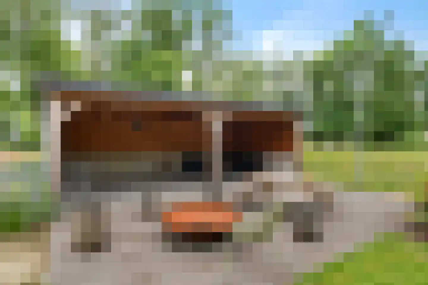 Ridderhof 6 Woudenberg thumbnail 28
