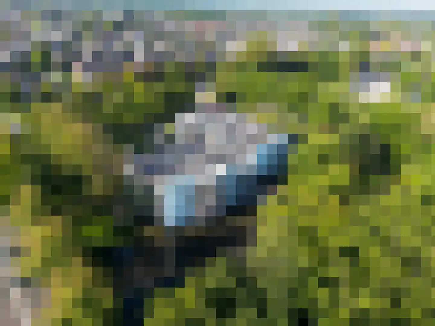 Ridderhof 6 Woudenberg thumbnail 31