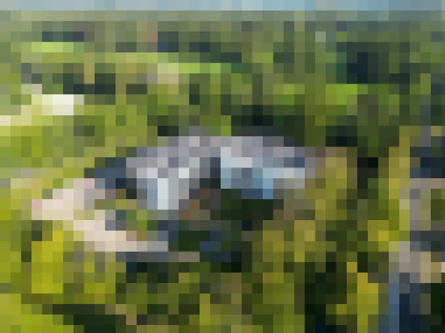 Ridderhof 6 Woudenberg thumbnail 33