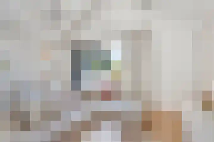 Ridderhof 62 Oss thumbnail 10