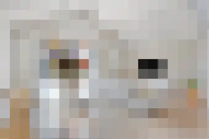 Ridderhof 62 Oss thumbnail 13