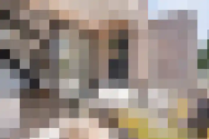 Ridderhof 62 Oss thumbnail 16