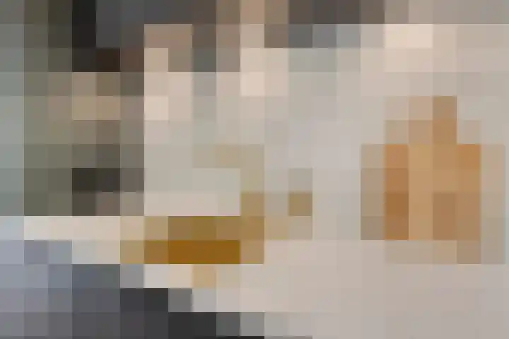 Ridderhof 62 Oss thumbnail 18