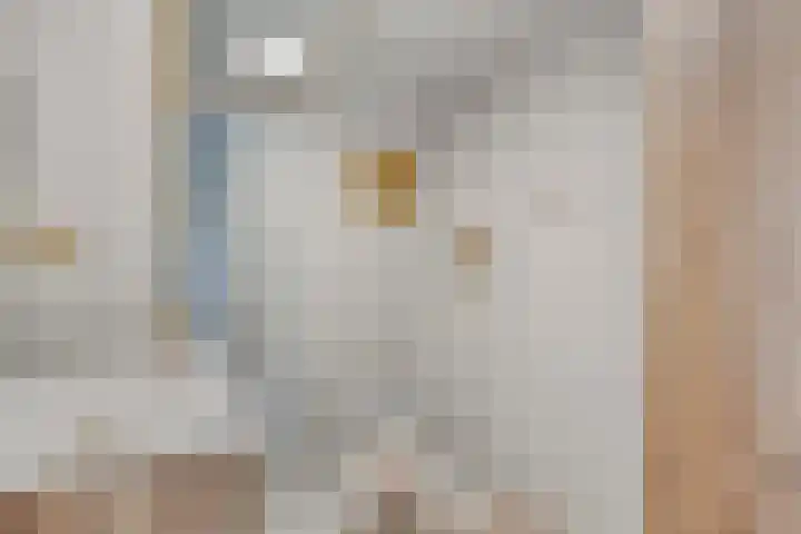 Ridderhof 62 Oss thumbnail 24