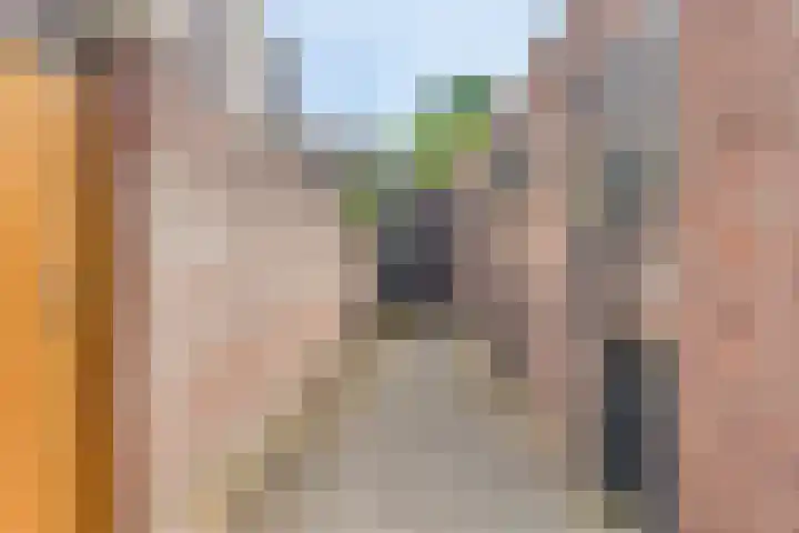 Ridderhof 62 Oss thumbnail 26