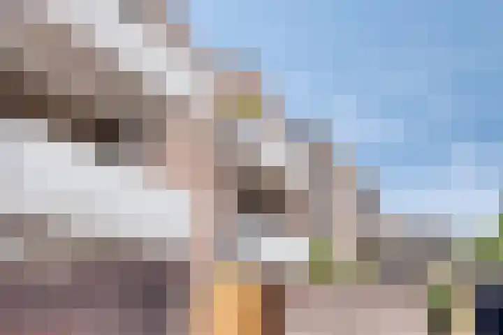 Ridderhof 62 Oss thumbnail 27