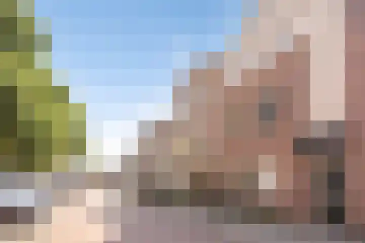 Ridderhof 62 Oss thumbnail 28