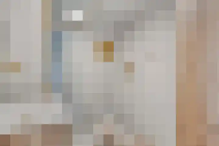 Ridderhof 62 Oss thumbnail 4