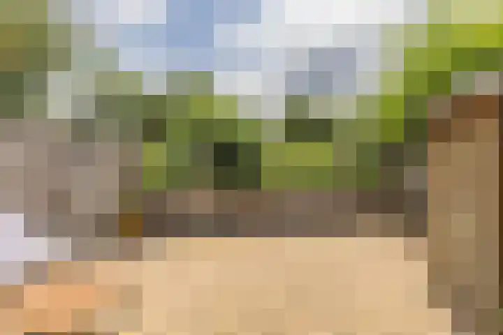 Ridderhof 74 Arnhem thumbnail 14