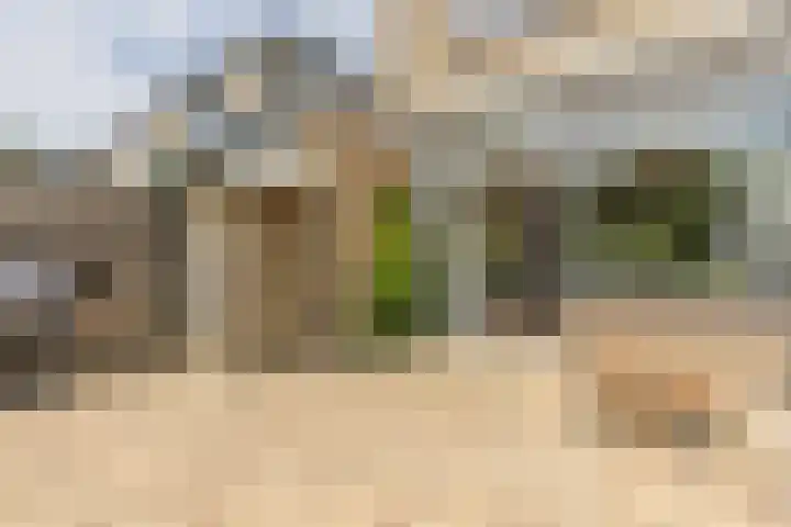 Ridderhof 74 Arnhem thumbnail 15