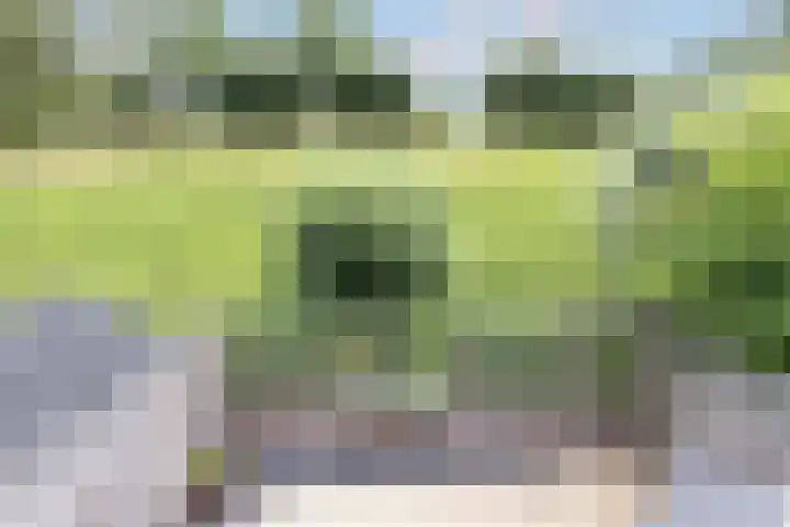 Ridderhof 74 Arnhem thumbnail 18
