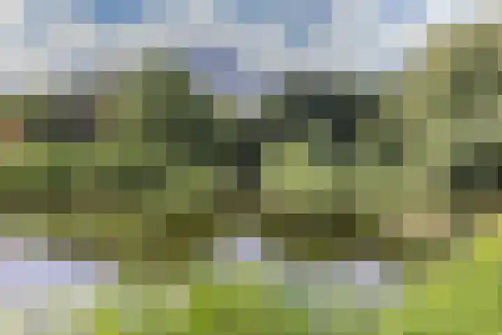 Ridderhof 74 Arnhem thumbnail 35