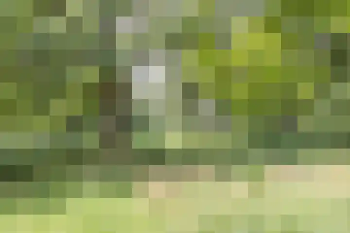 Ridderhof 74 Arnhem thumbnail 36