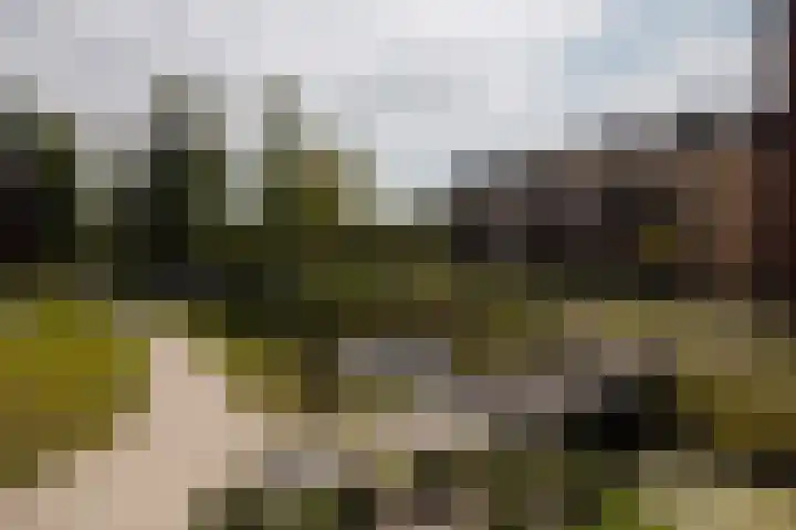 Ridderhof 83 Wassenaar thumbnail 39