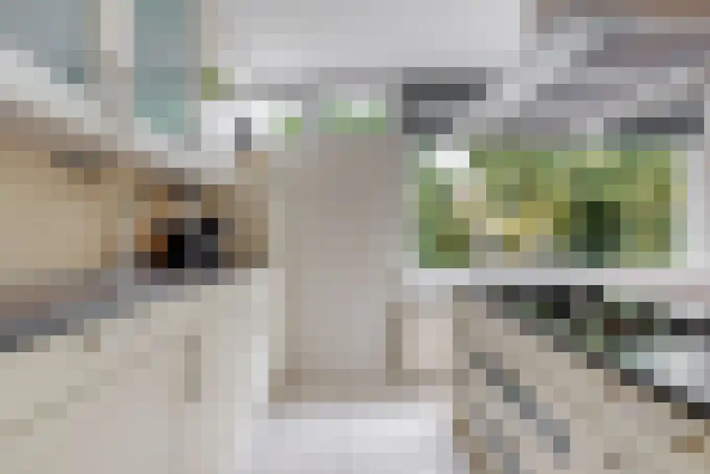 Ridderhoflaan 11 Koudekerk aan den Rijn thumbnail 10
