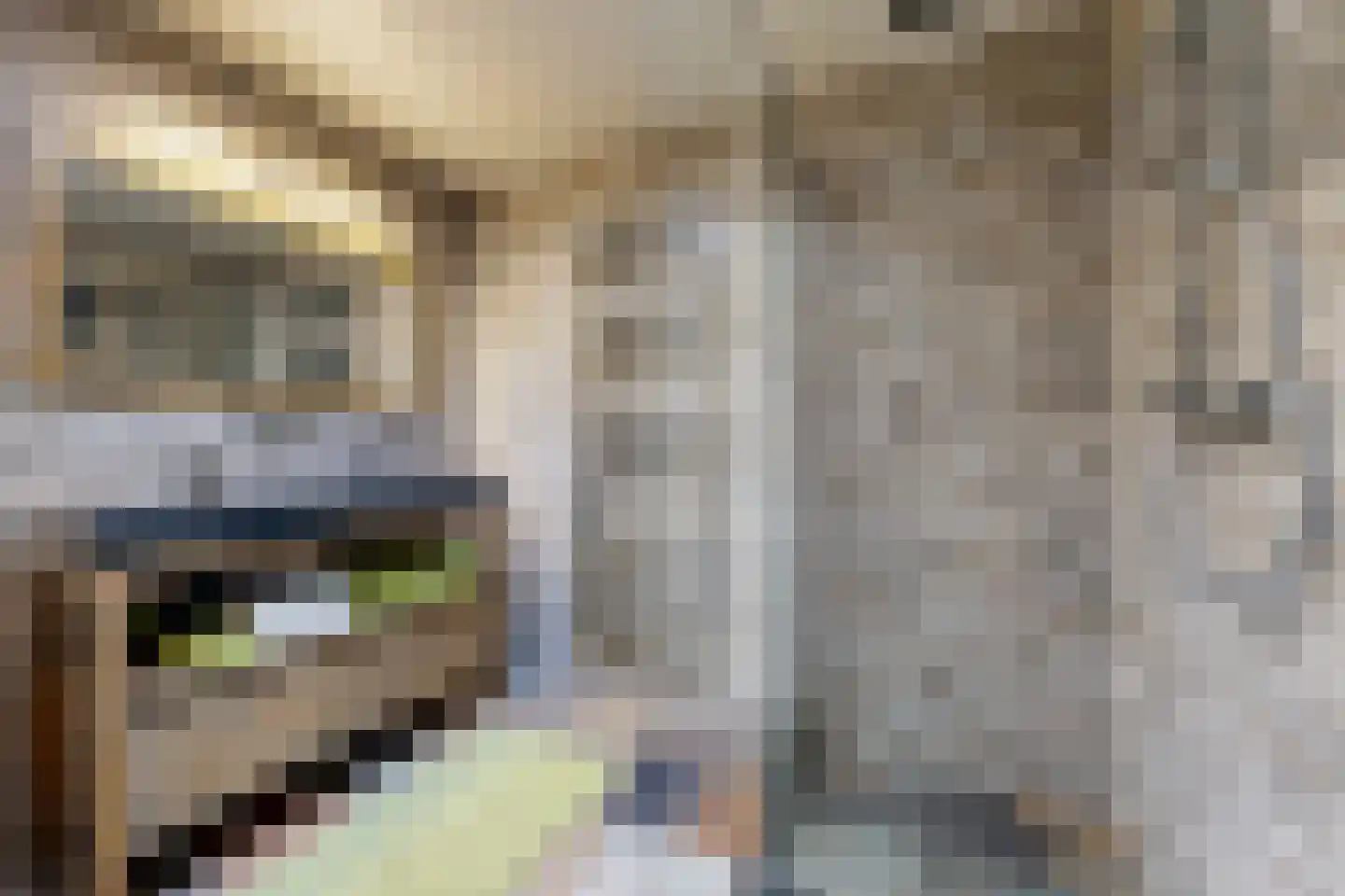 Ridderhoflaan 11 Koudekerk aan den Rijn thumbnail 16