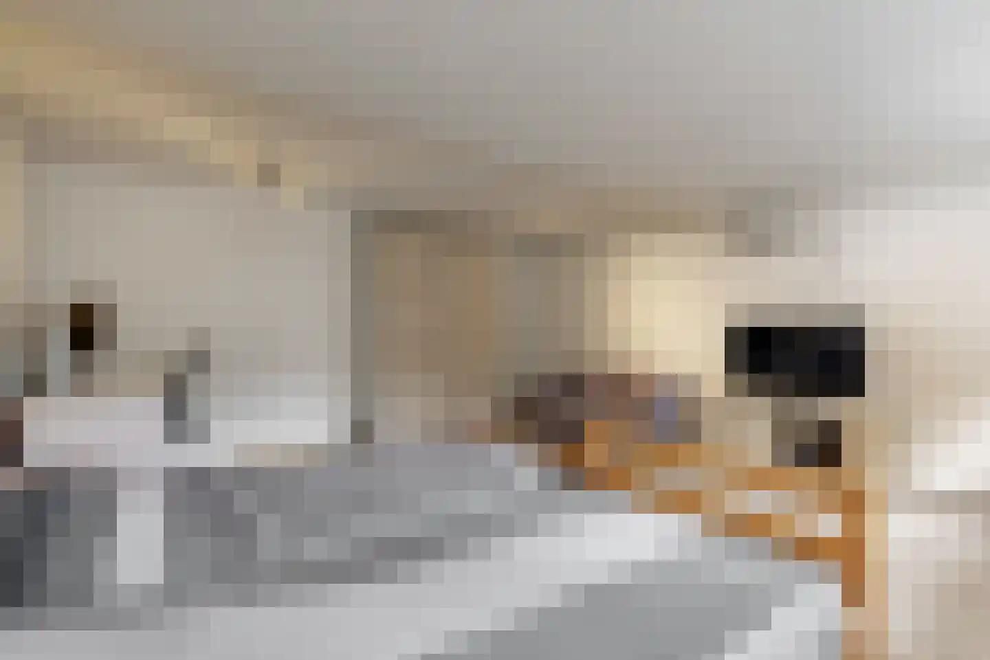 Ridderhoflaan 11 Koudekerk aan den Rijn thumbnail 19