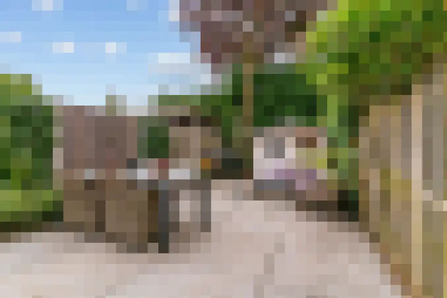 Ridderhoflaan 11 Koudekerk aan den Rijn thumbnail 21