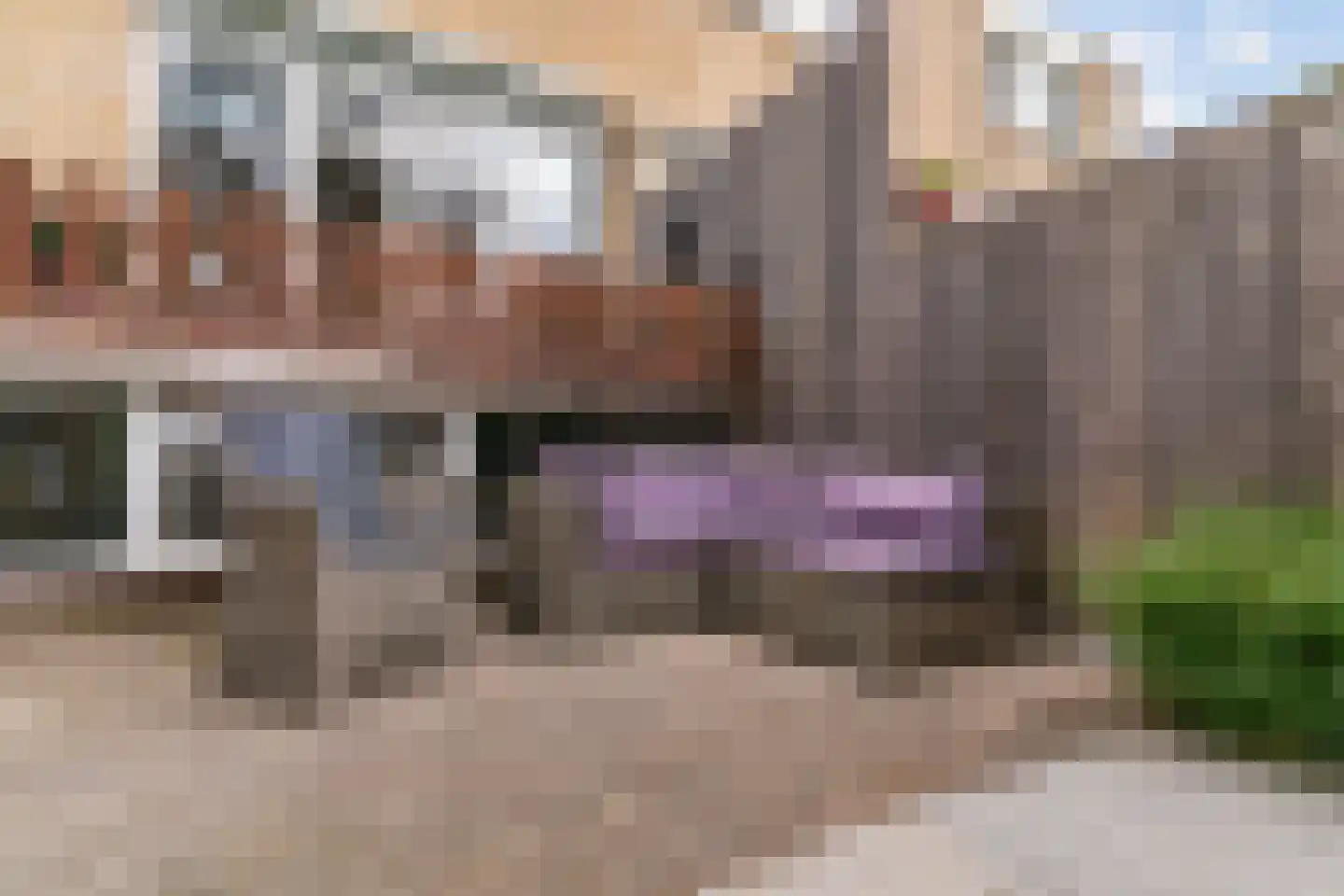 Ridderhoflaan 11 Koudekerk aan den Rijn thumbnail 23
