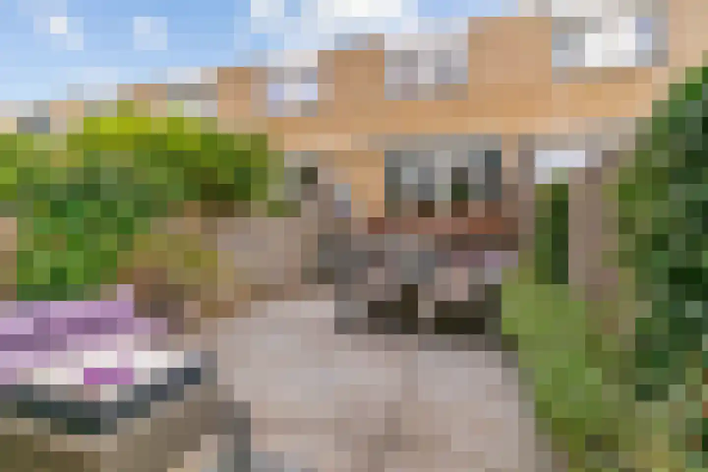 Ridderhoflaan 11 Koudekerk aan den Rijn thumbnail 5