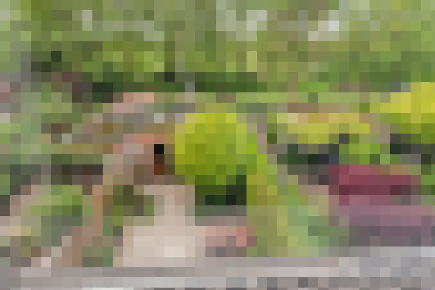 Ridderhoflaan 13 Vleuten thumbnail 28