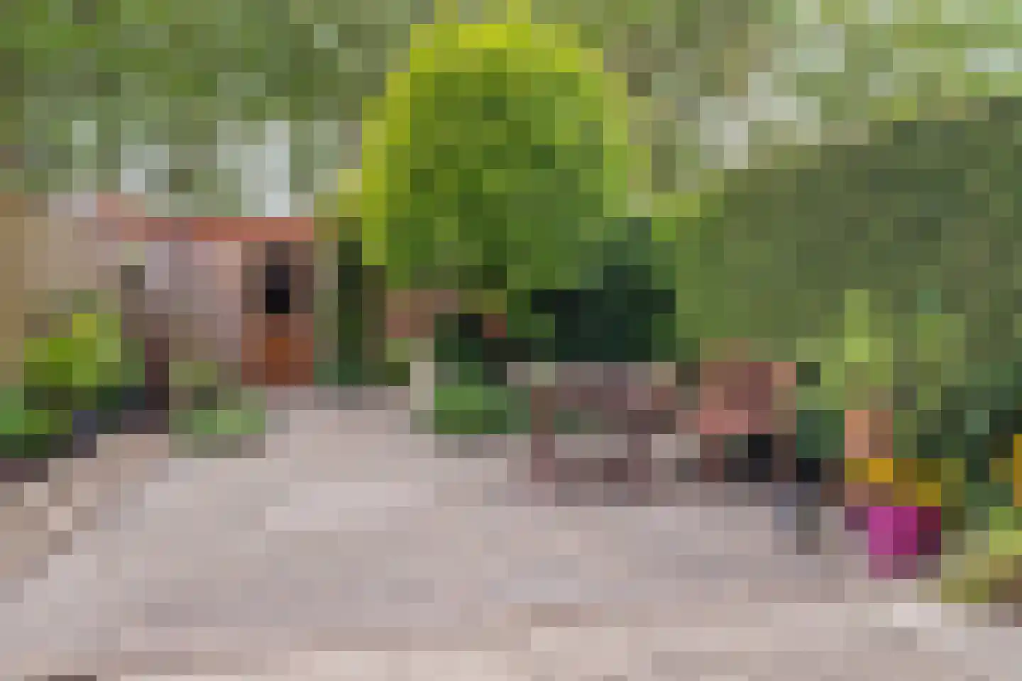 Ridderhoflaan 13 Vleuten thumbnail 29
