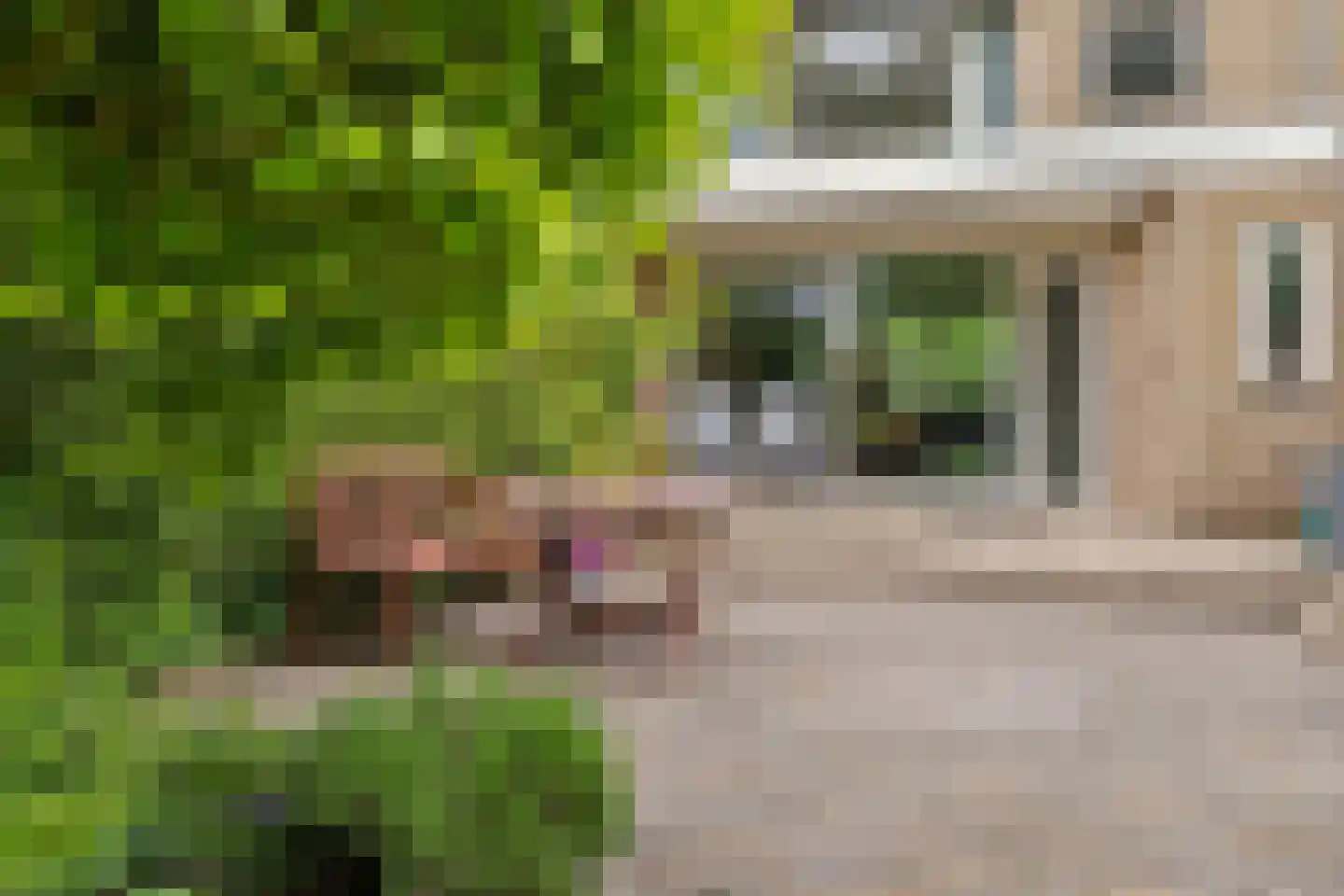 Ridderhoflaan 13 Vleuten thumbnail 33