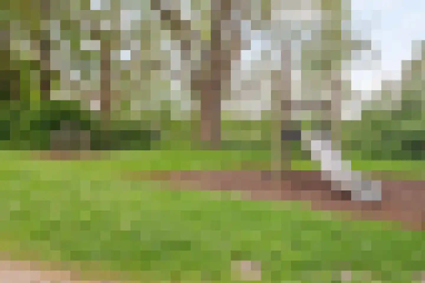 Ridderhoflaan 13 Vleuten thumbnail 38